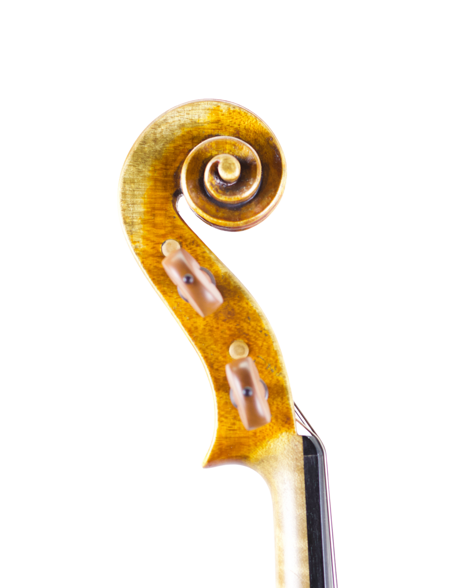 SARA DELIBERATO 15 7/8" VIOLA