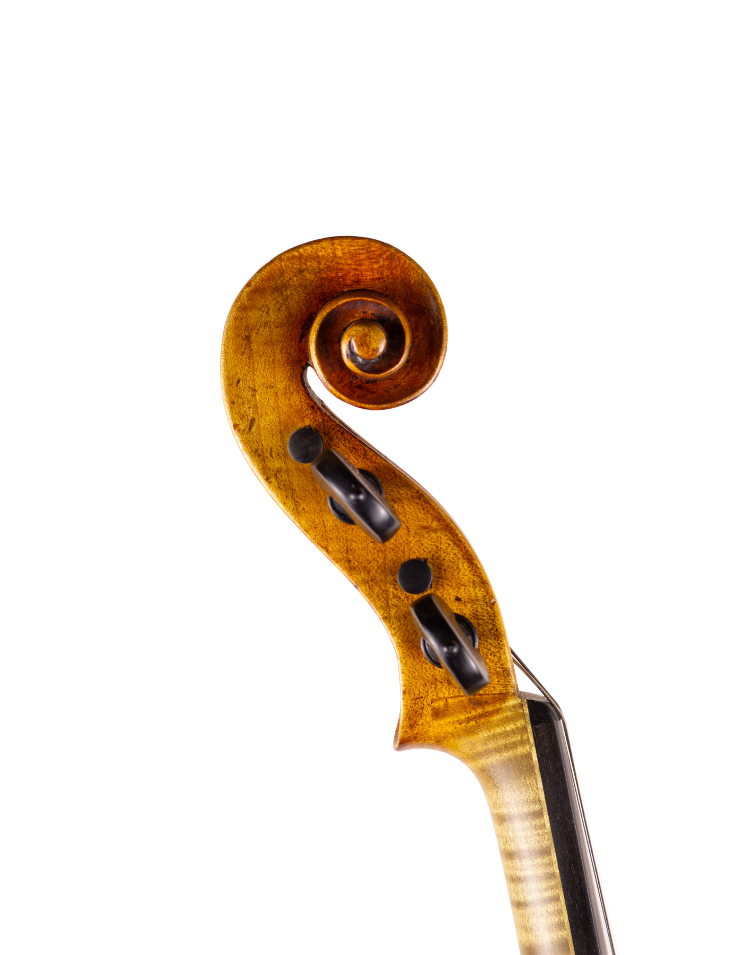CARLO MICELLI VIOLIN