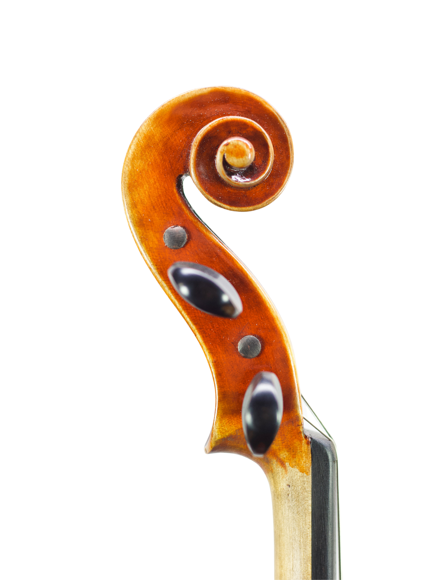 PAOLO LORENZO - 15" VIOLA