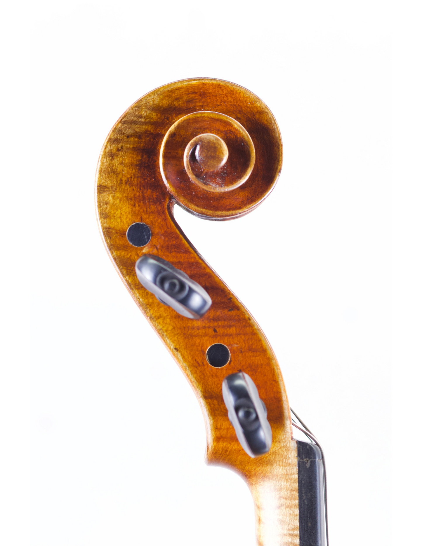 JAY HAIDE "STATUE" MAGGINI 15" VIOLA