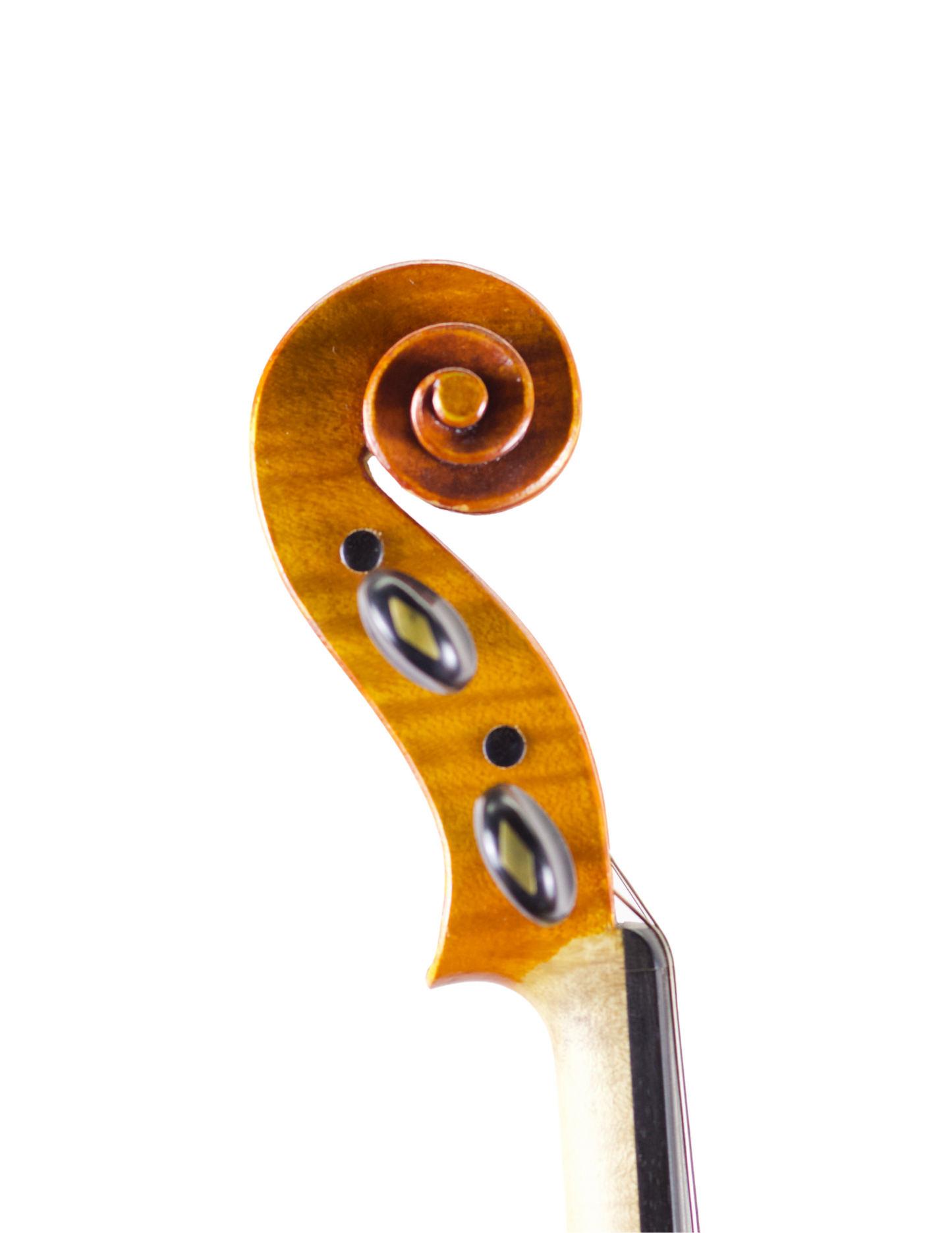 SARA DELIBERATO VIOLIN