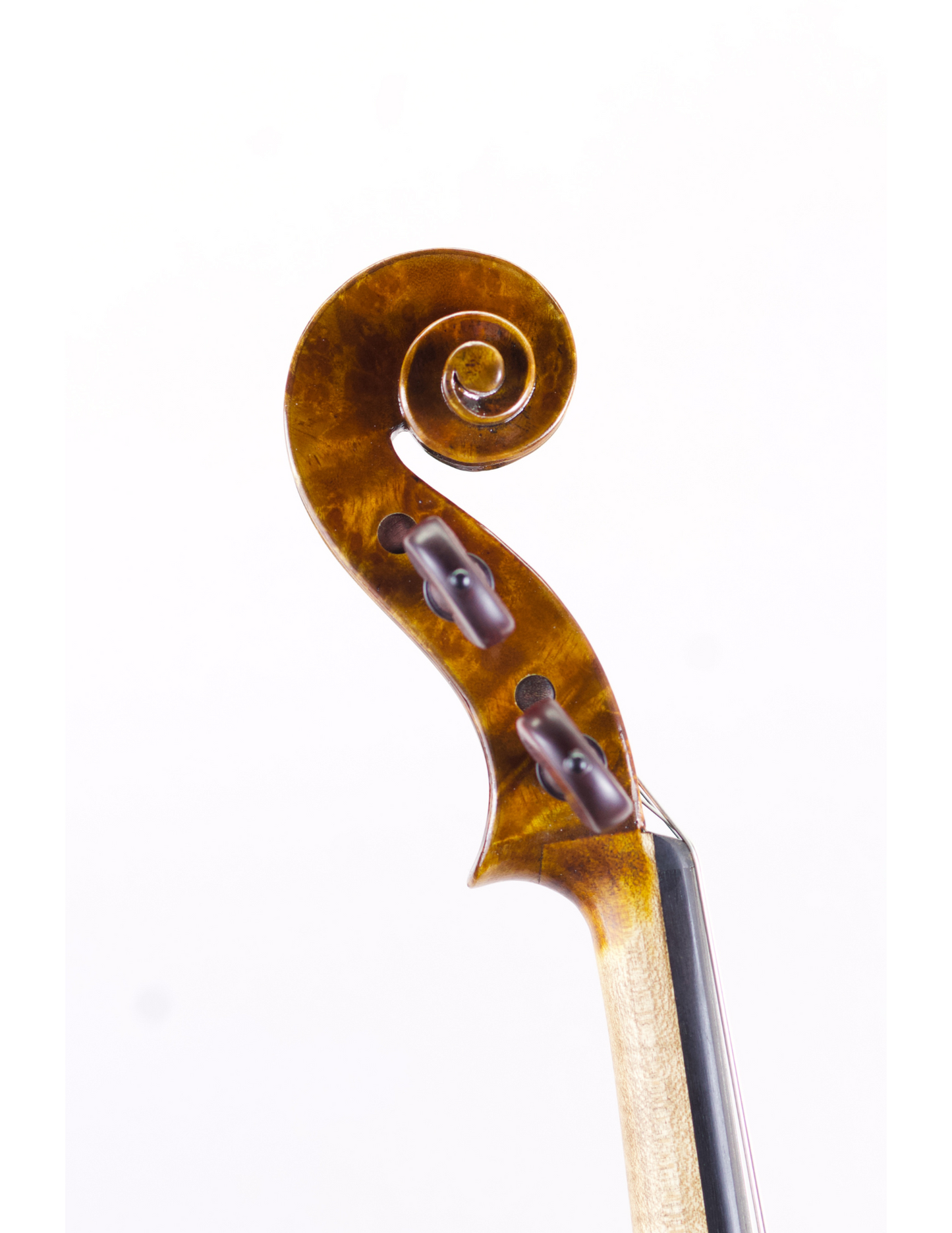 DARIO GIOVANNI 15.5" VIOLA
