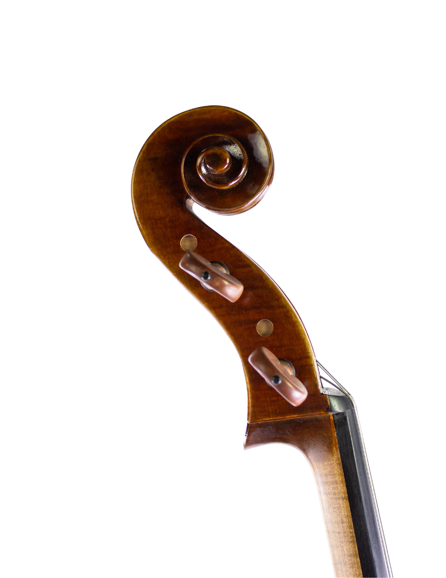 PETER KAUFFMAN CELLO