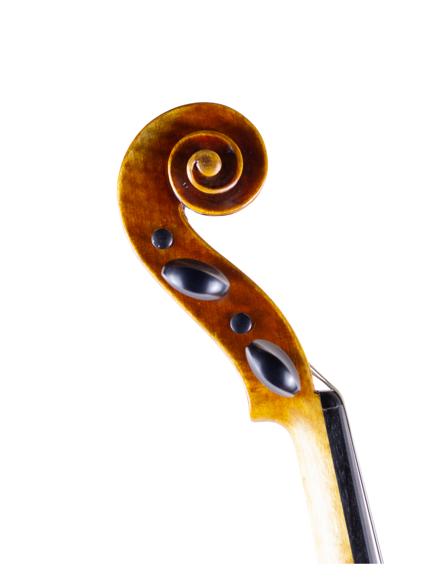 JAY HAIDE MAGGINI MODEL - 15 3/4" VIOLA