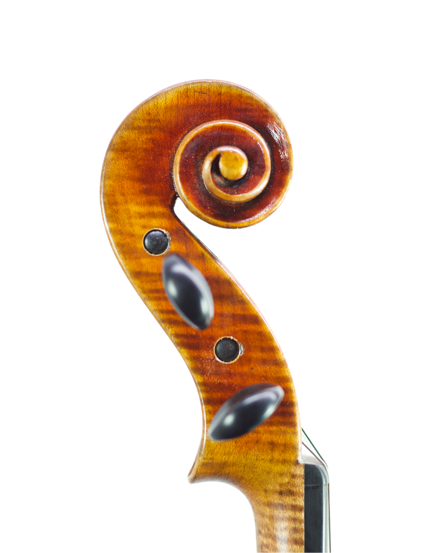 JAY HAIDE GUARNERI - EUROWOOD VIOLIN