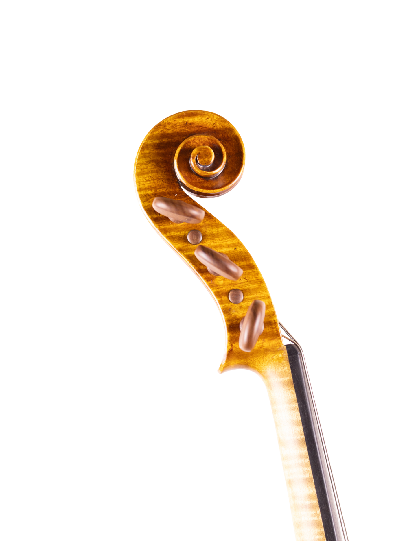 AVANTGARDE VIOLINS 5-STRING VIOLIN
