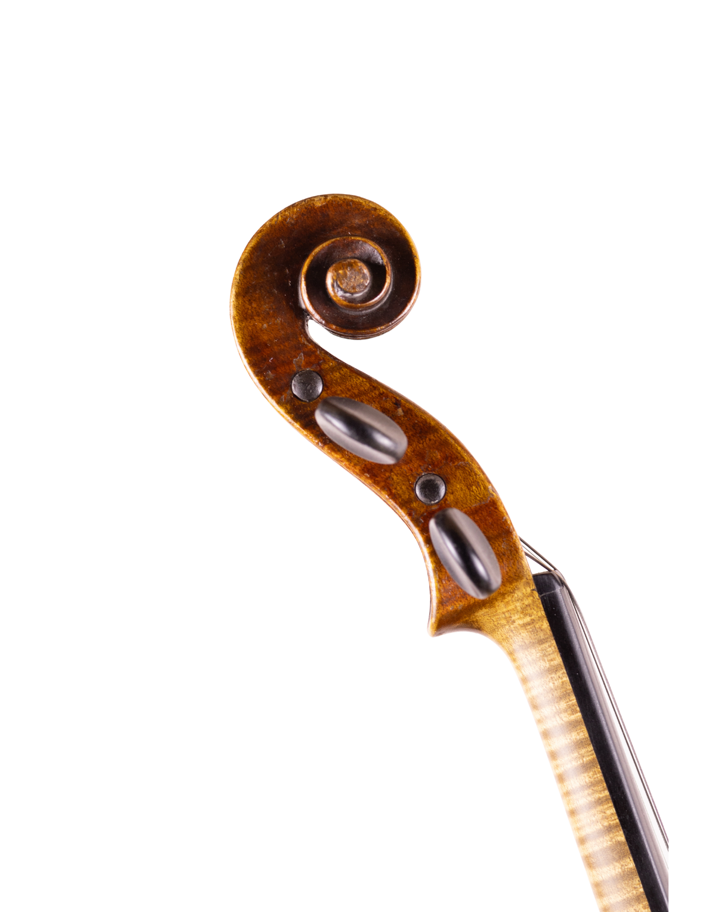 7/8 FLORENTINA VIOLIN