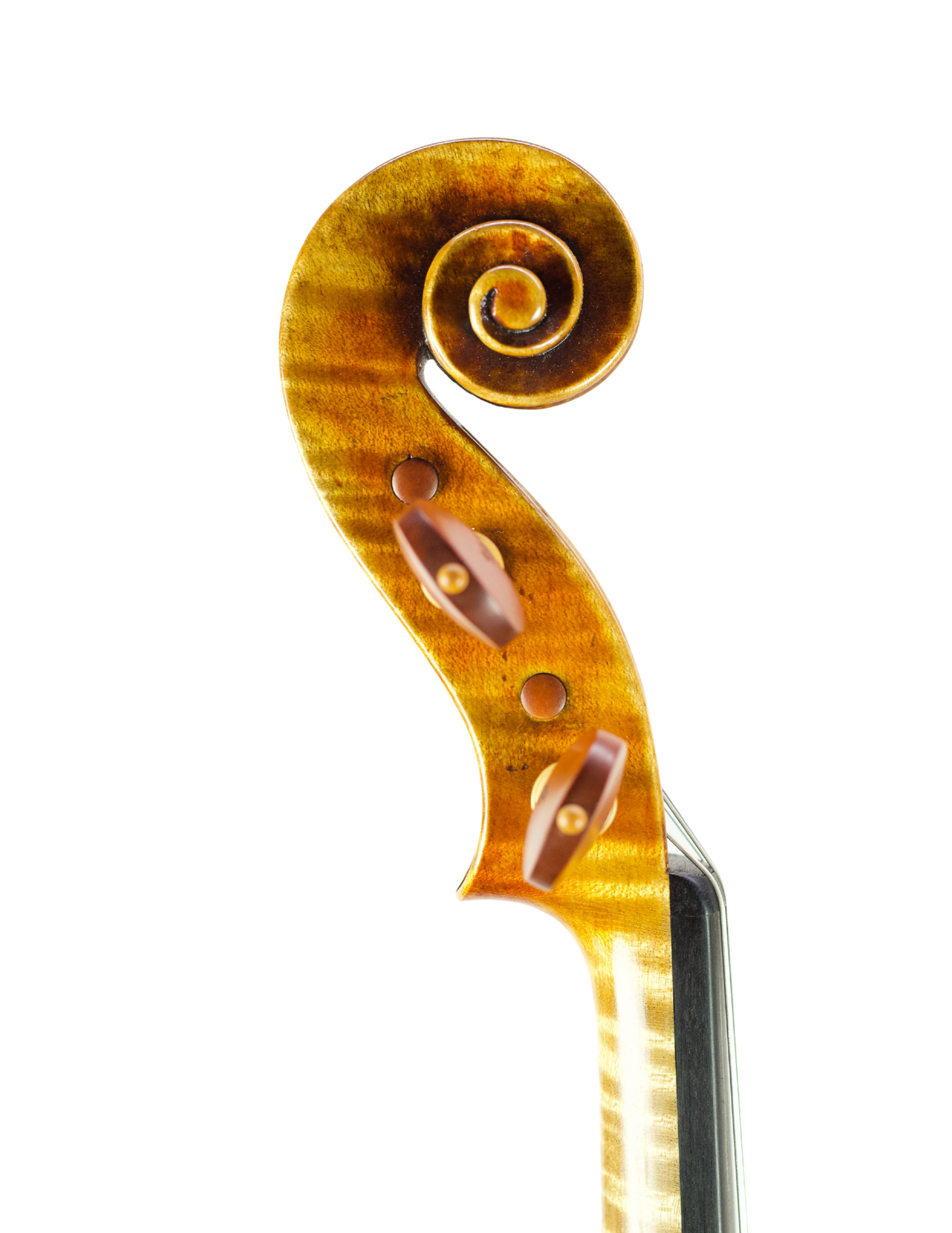 ROBERTO COLLINI VIOLIN