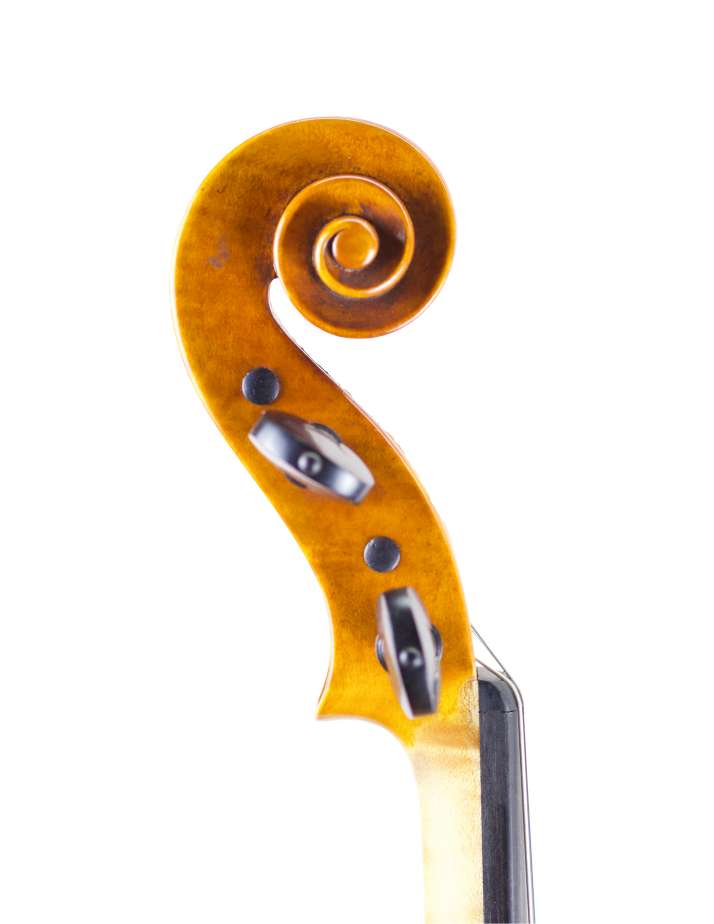 ANDREA SCHUDTZ VIOLIN