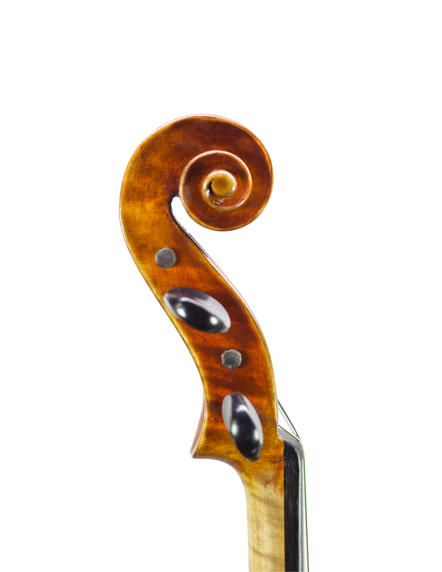 PAOLO LORENZO - 15.5" VIOLA