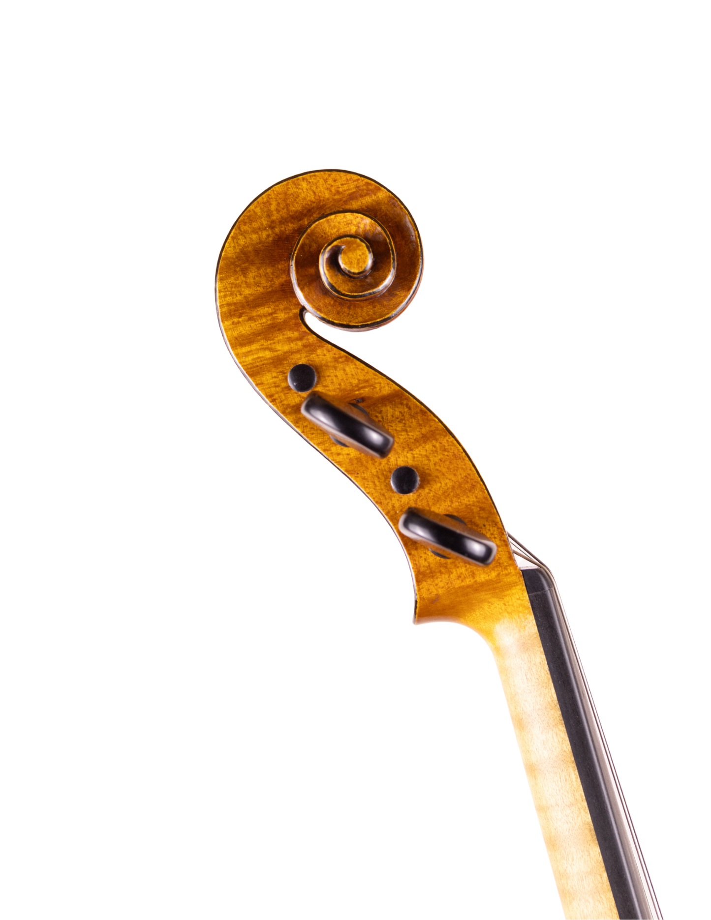 DAVID VAN ZANDT VIOLIN