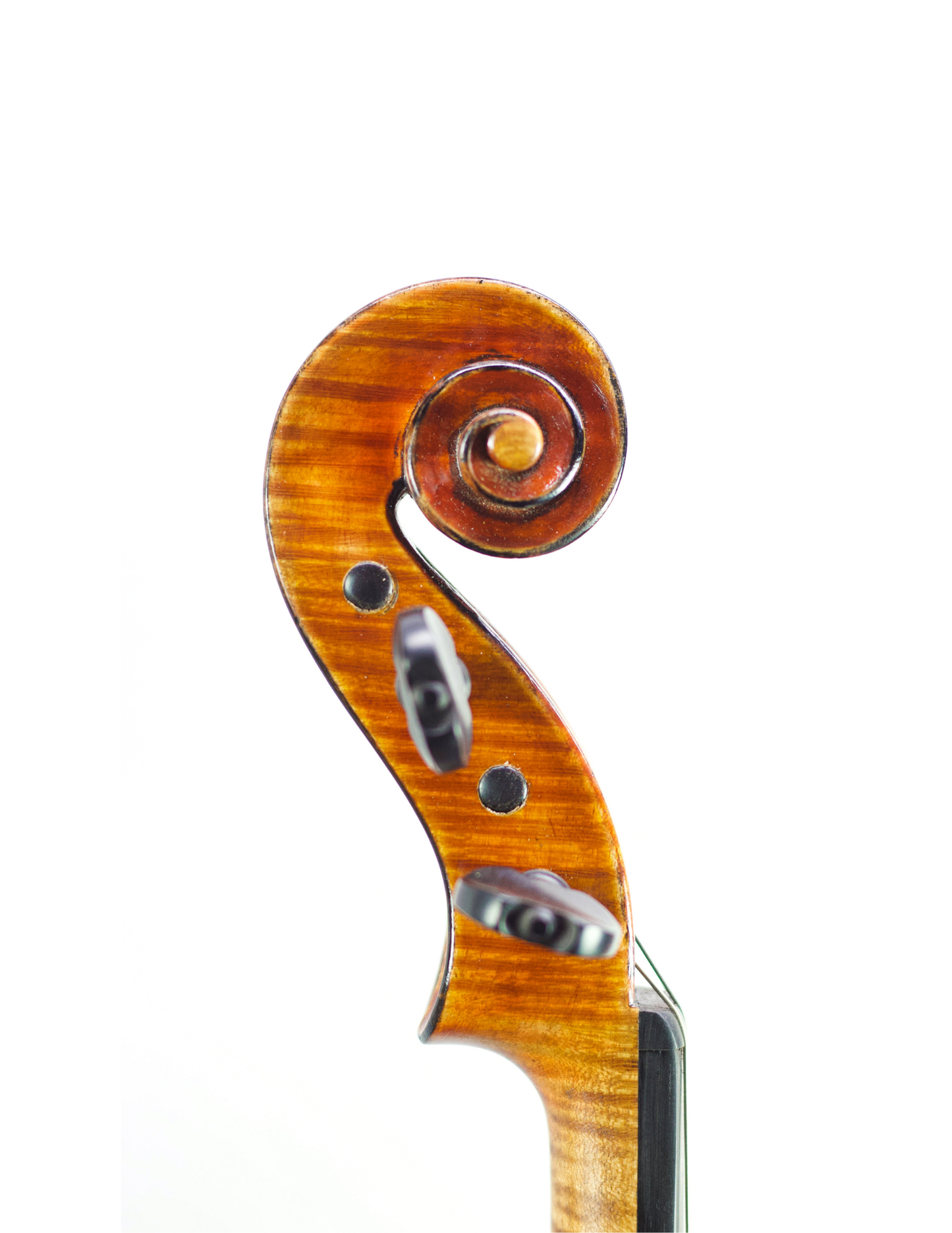 JAY HAIDE VUILLAUME - EUROWOOD VIOLIN