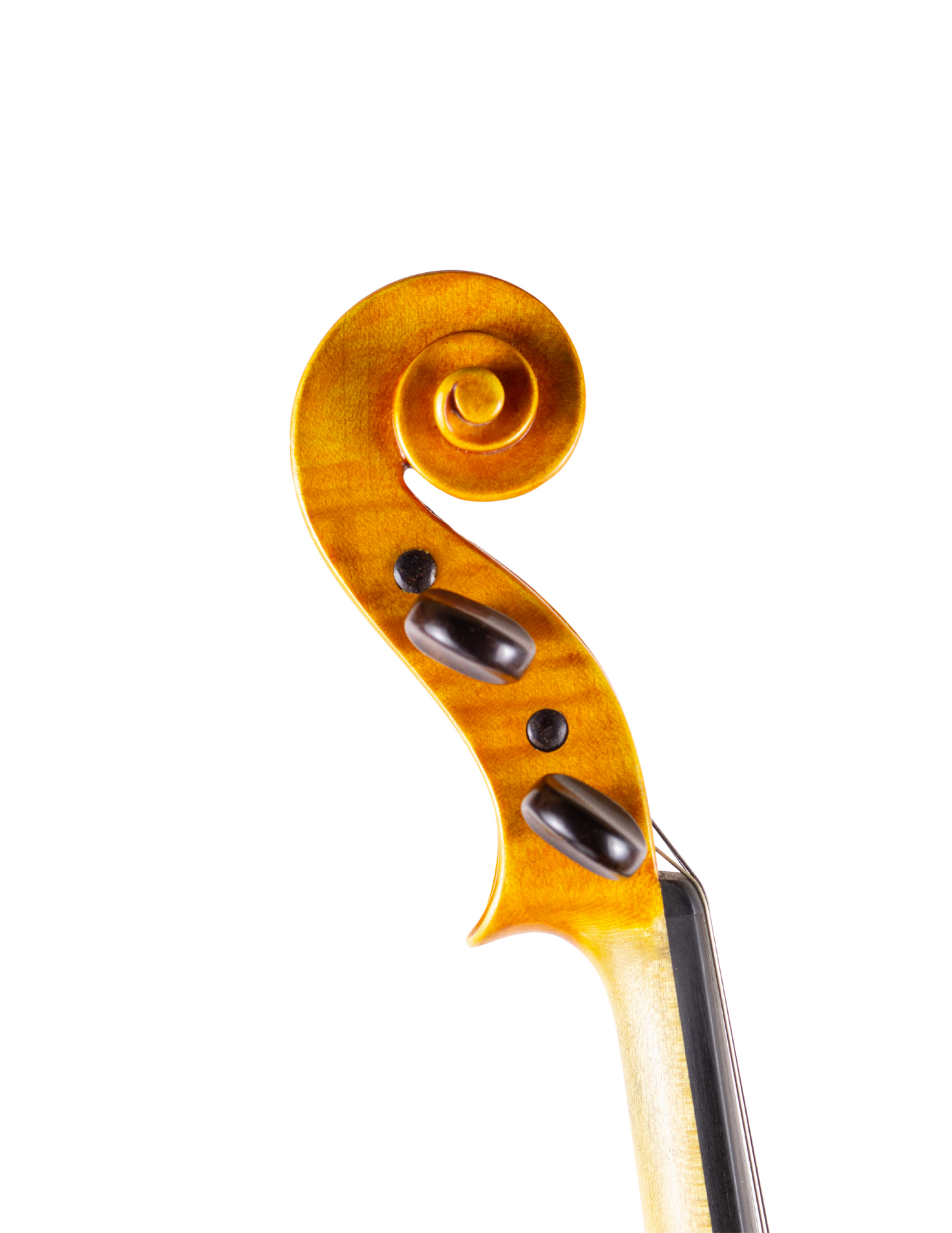 FERNANDO SOLAR GONZALEZ VIOLIN