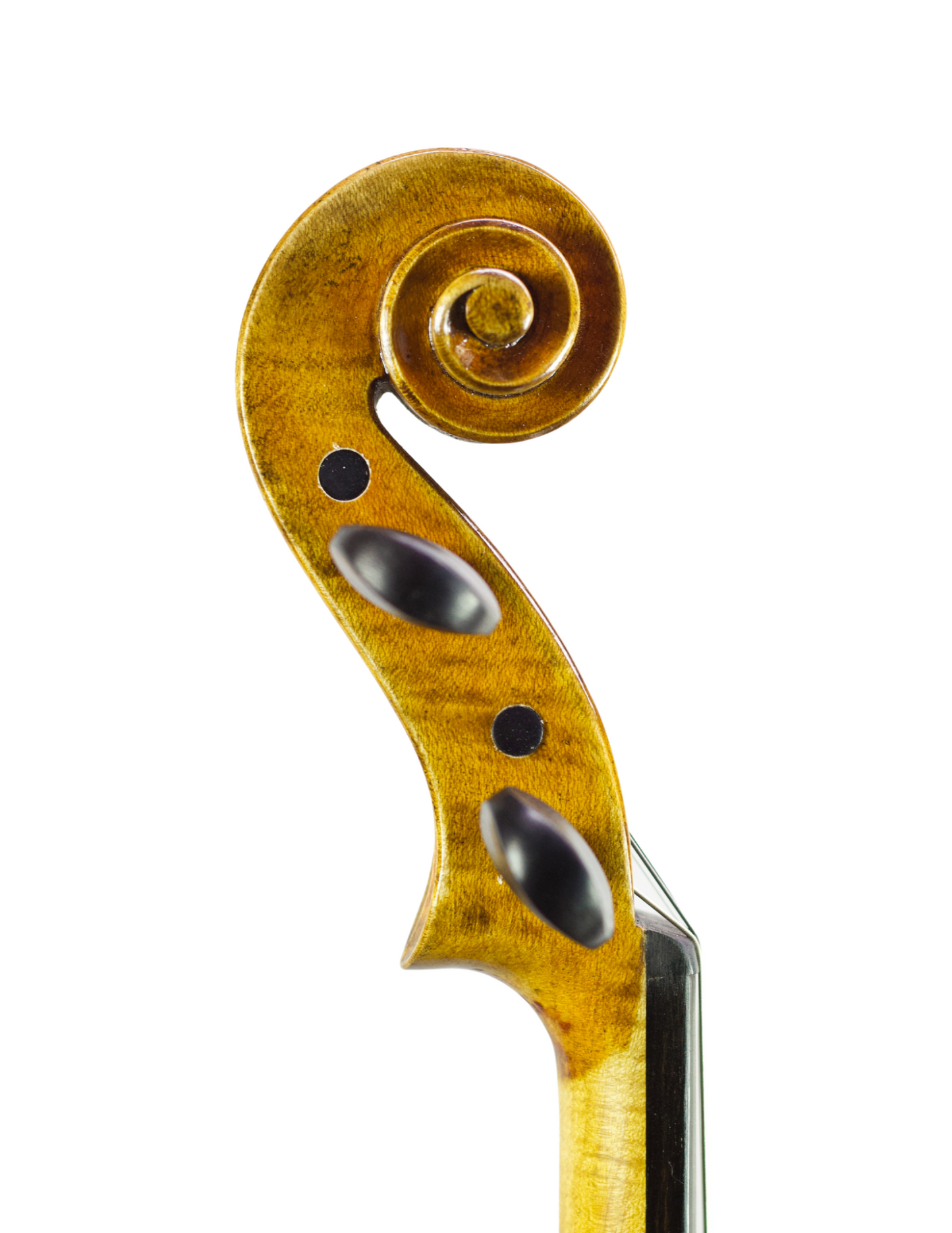 MUSIC CITY FIDDLES - ELITE MODEL VIOLIN