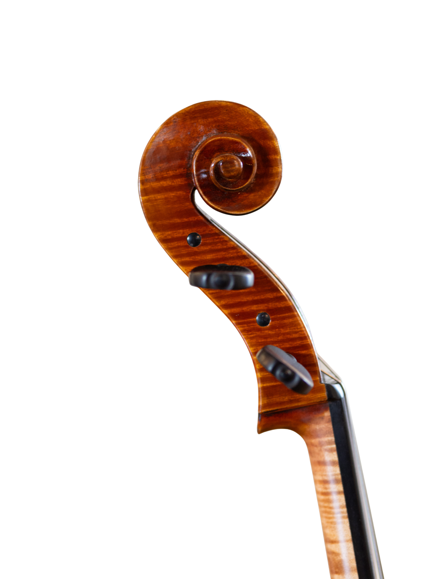 JAY HAIDE EUROWOOD RUGGIERI MODEL CELLO