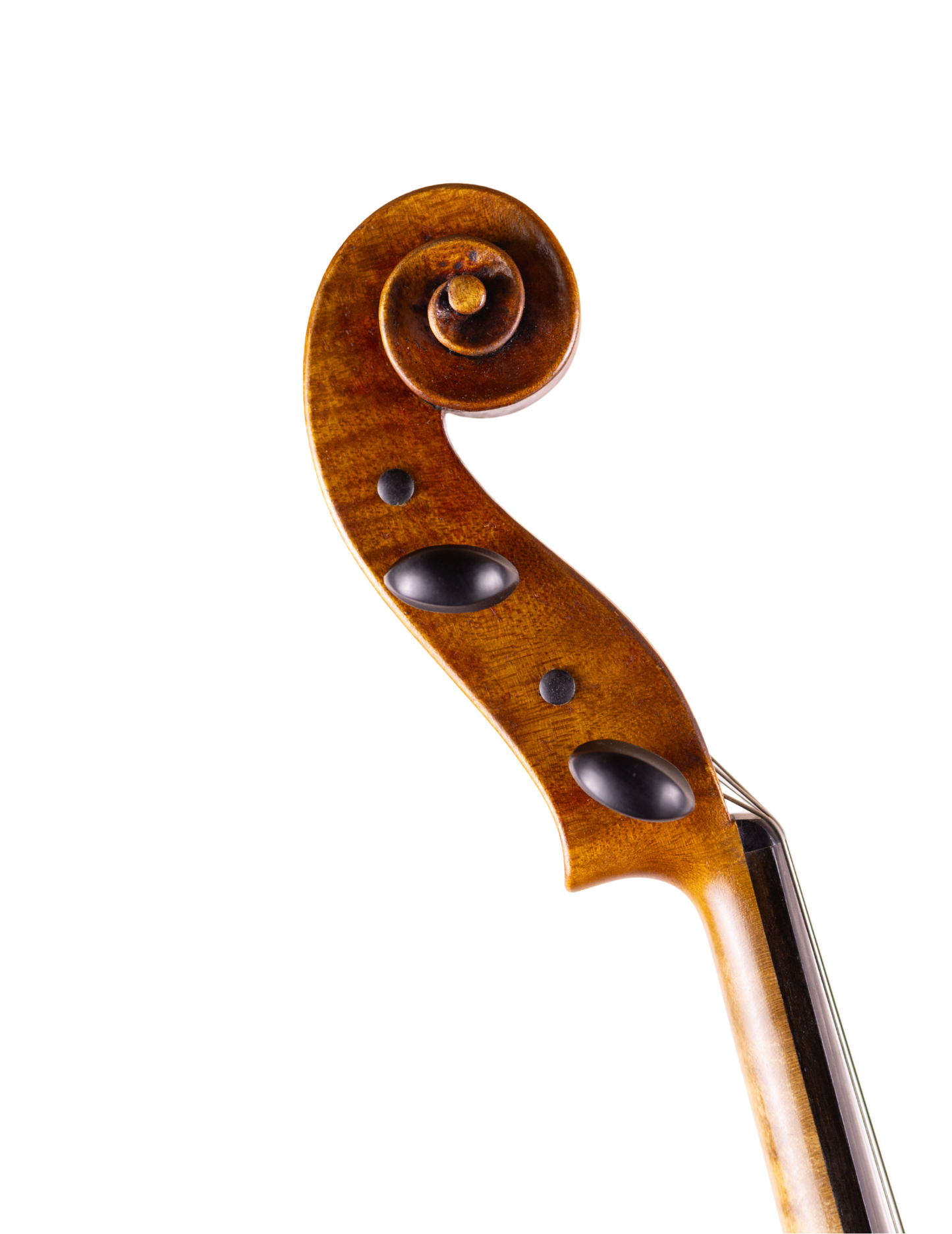 THOMAS COLEMAN - 15 5/8" VIOLA