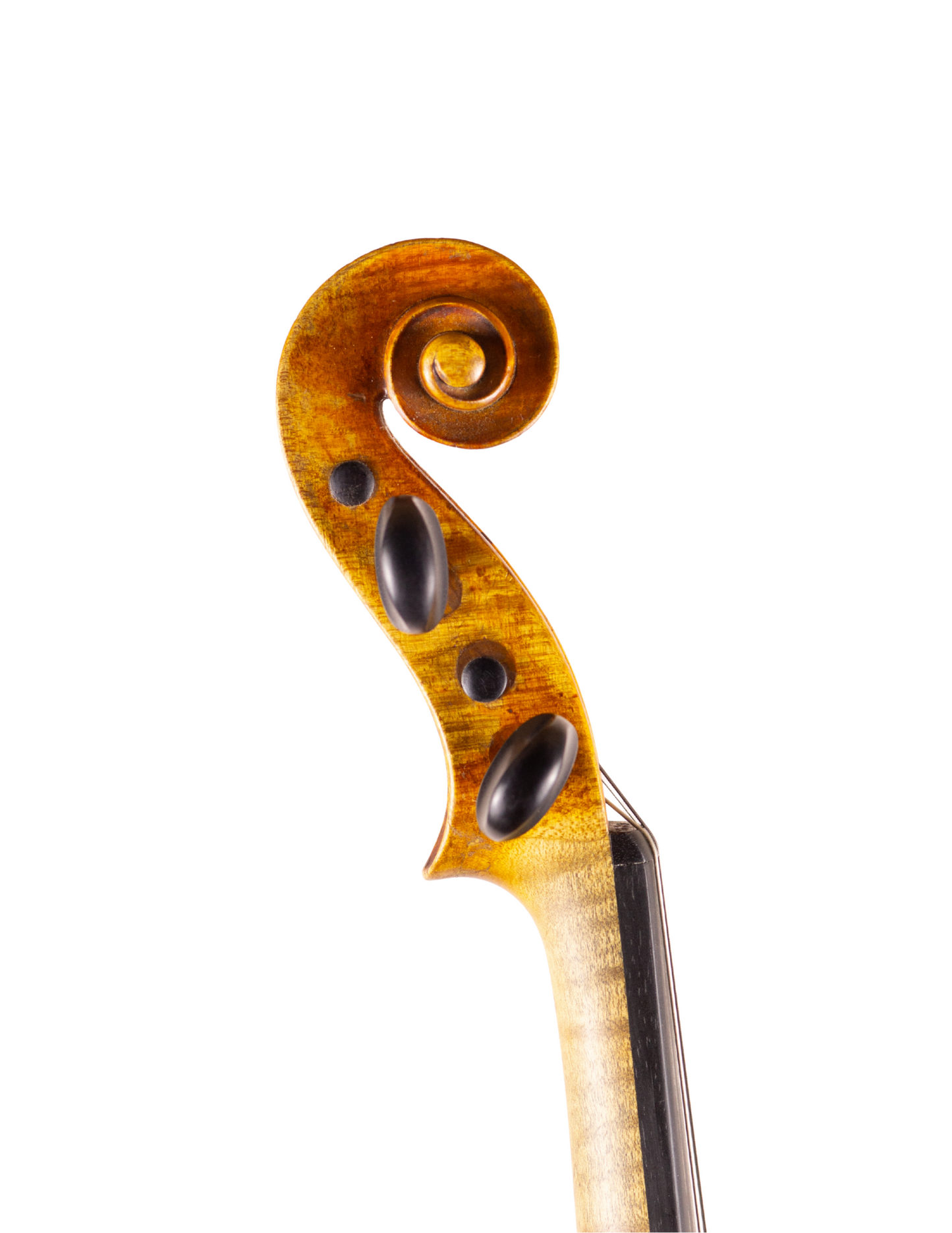 ANDREAS MORELLI VIOLIN