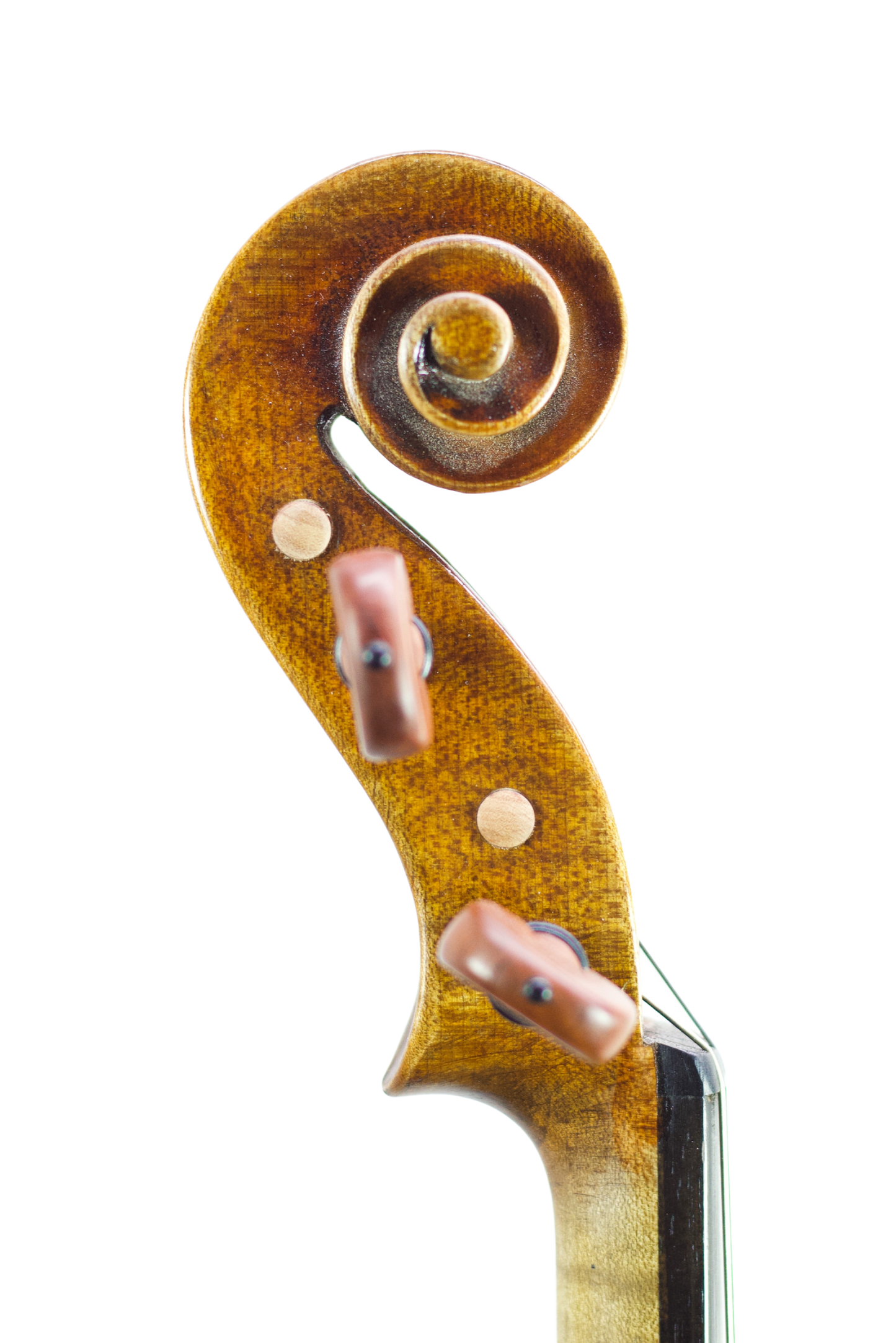 PETER KAUFFMAN VIOLIN