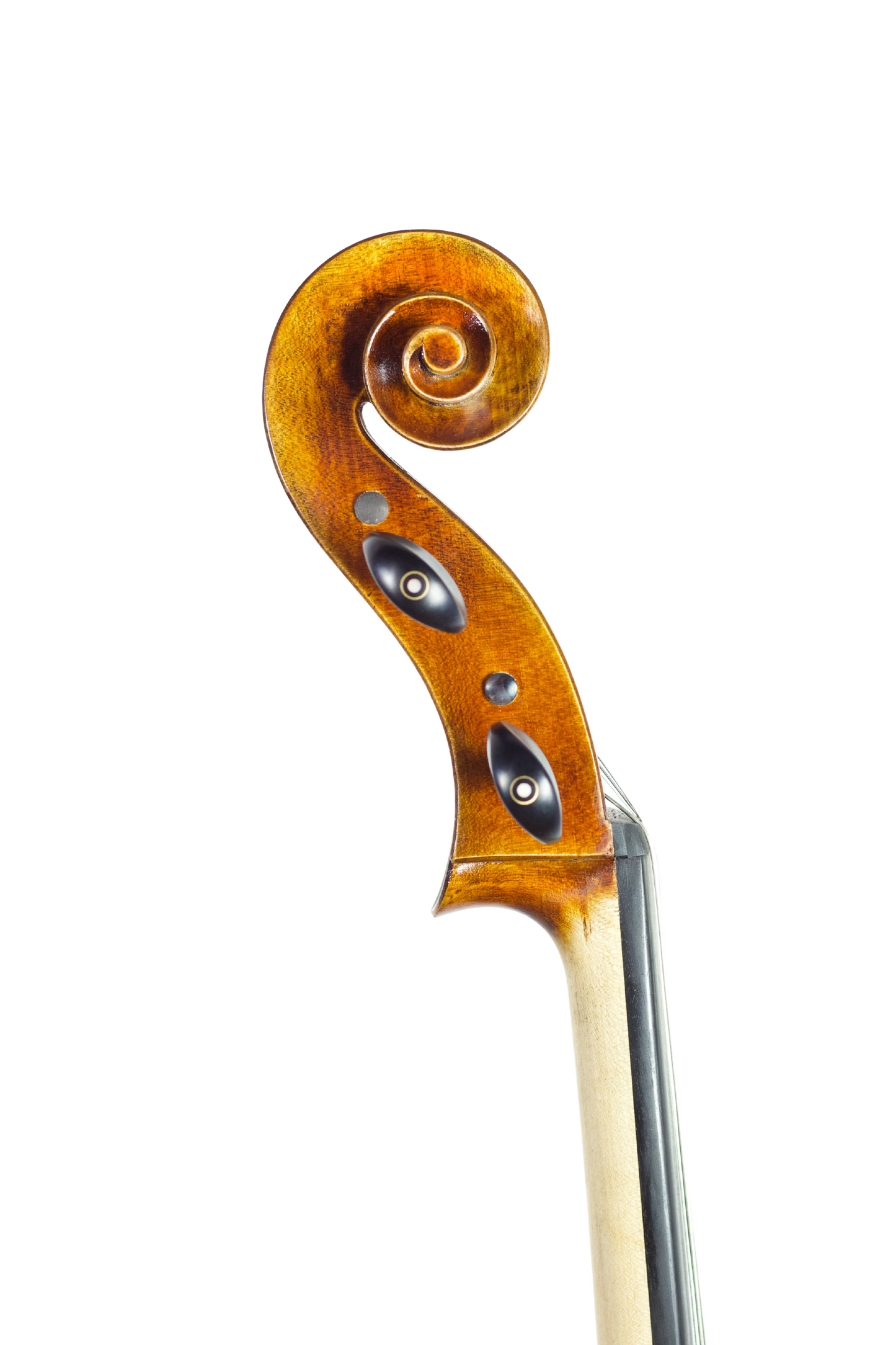MODEL 70 CELLO