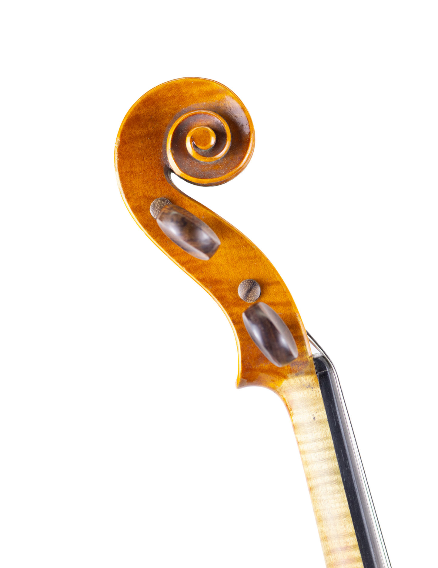 D. NICOLAS VIOLIN