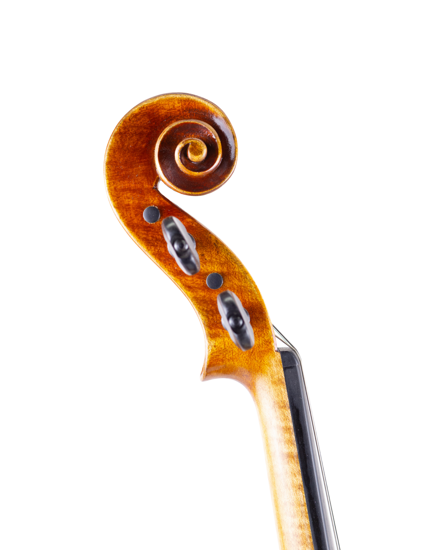 JAY HAIDE "STATUE" - GUARNERI MODEL VIOLIN
