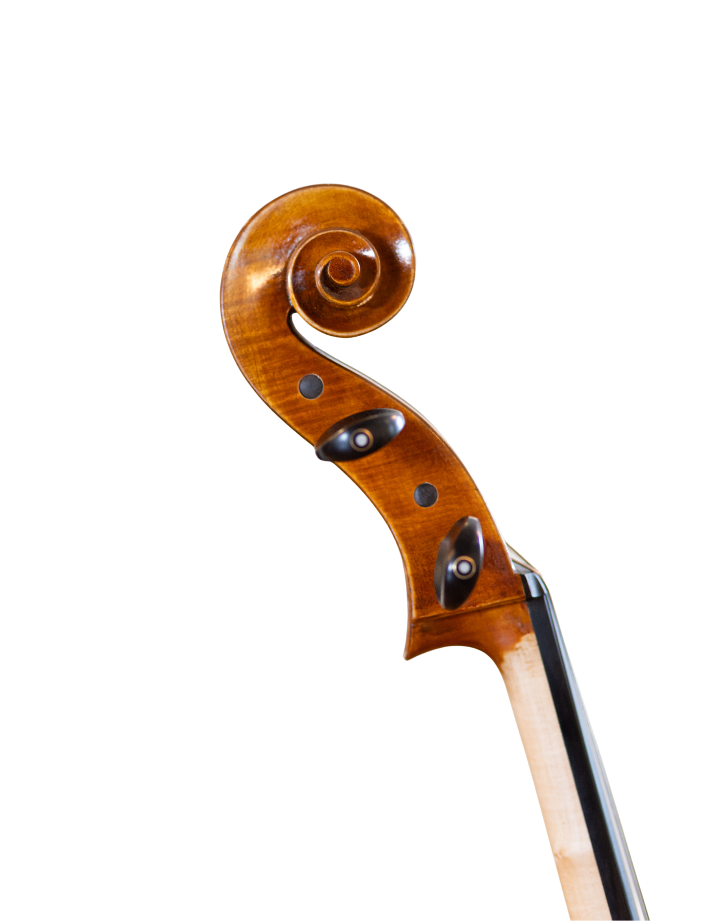 MUSIC CITY FIDDLES - ARTIST MODEL 3/4 CELLO