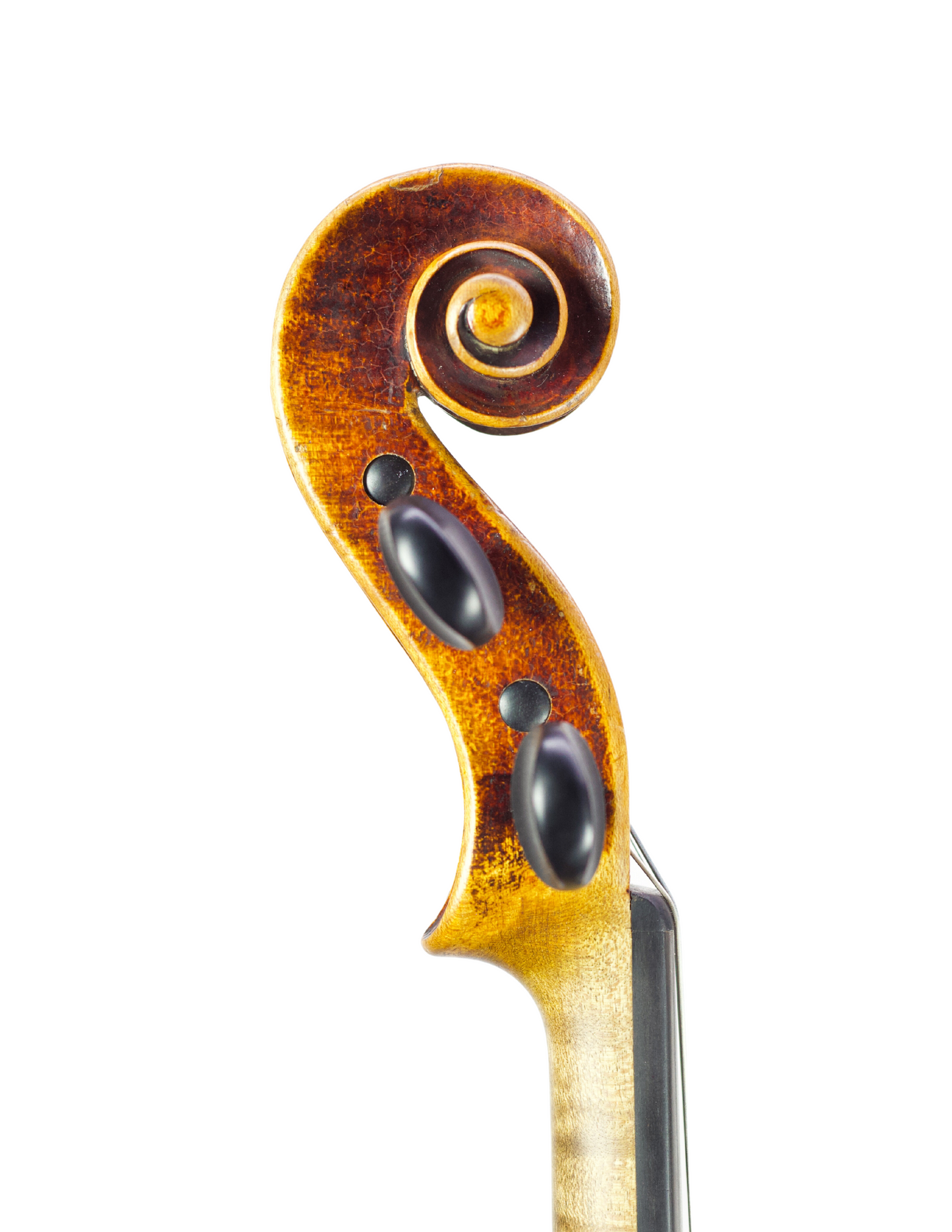 D. NICOLAS VIOLIN