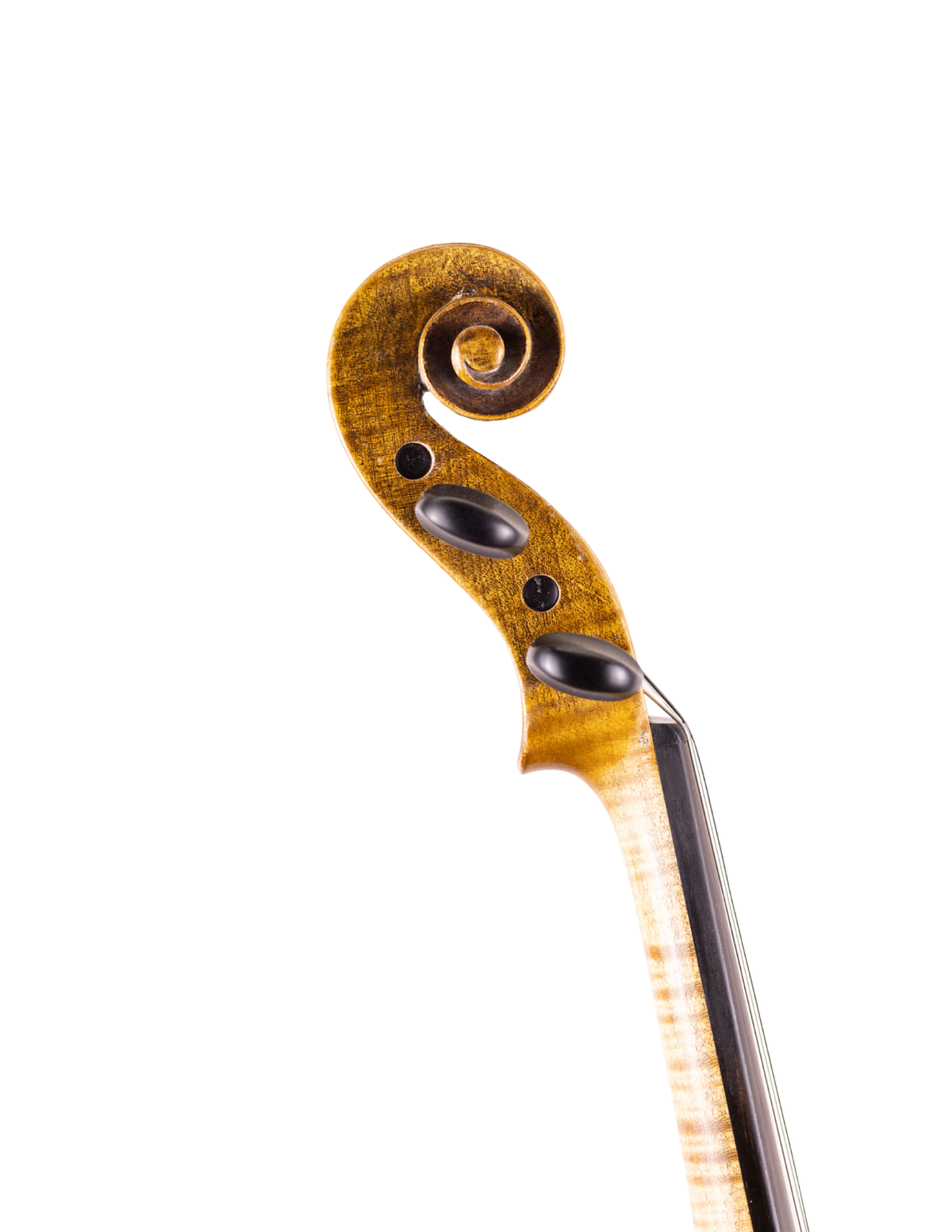 FIRST NATIONAL INSTITUTE OF ALLIED ARTS VIOLIN