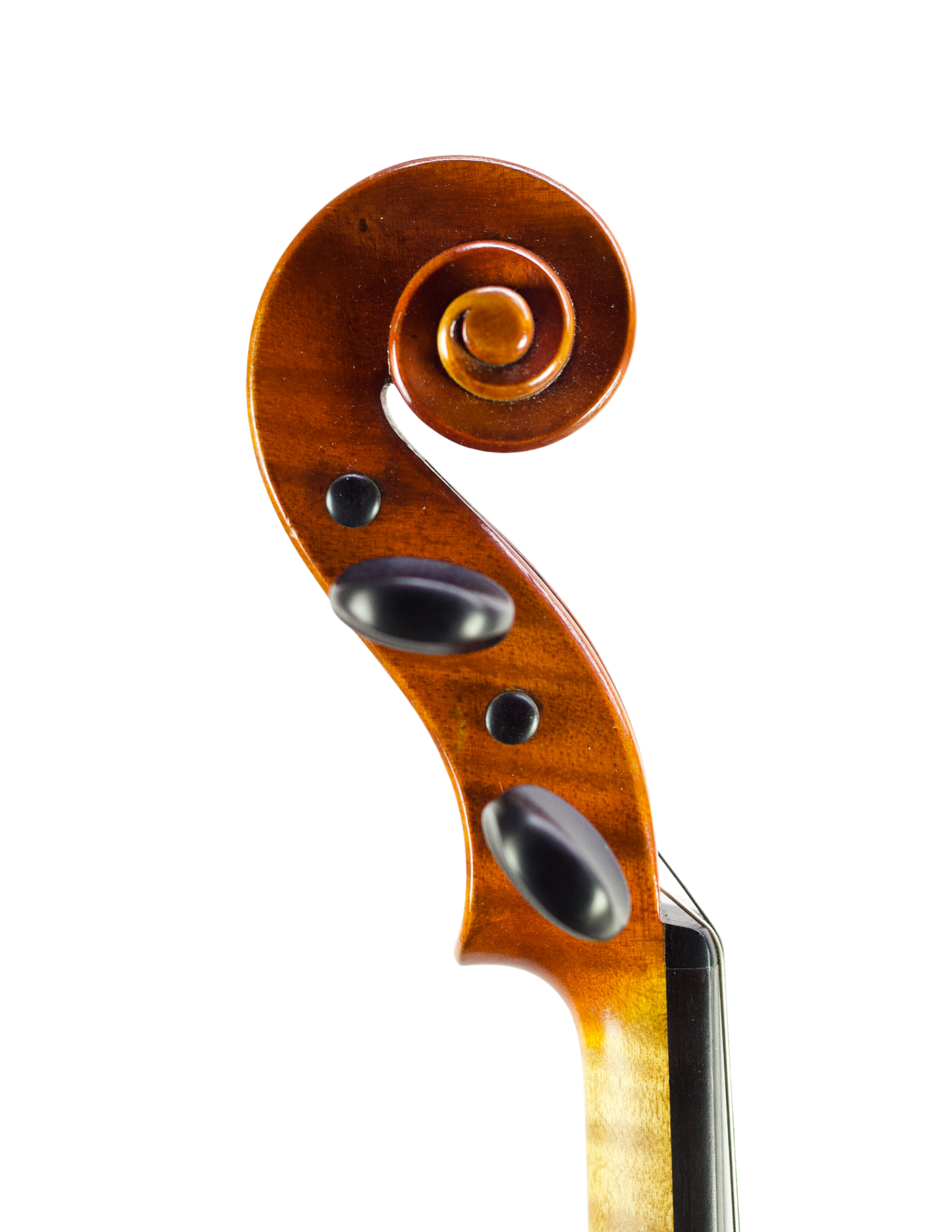 DONALD McKINLEY VIOLIN