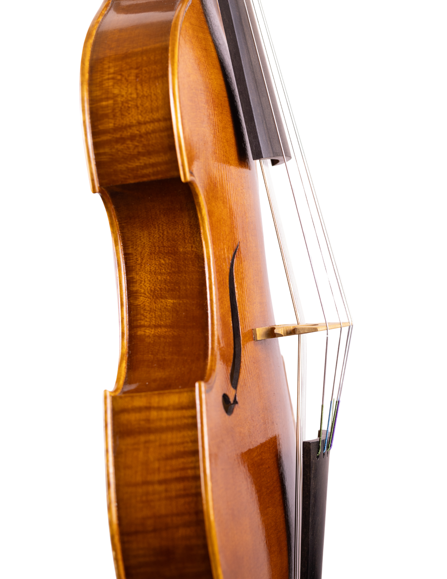 THOMAS COLEMAN - VIOLA D'AMORE
