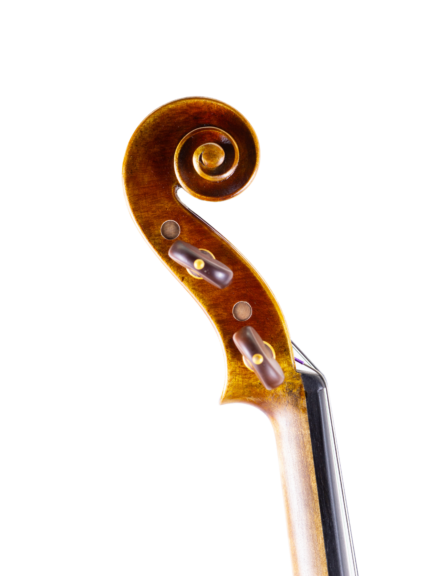 SANDRO LUCIANO VIOLIN