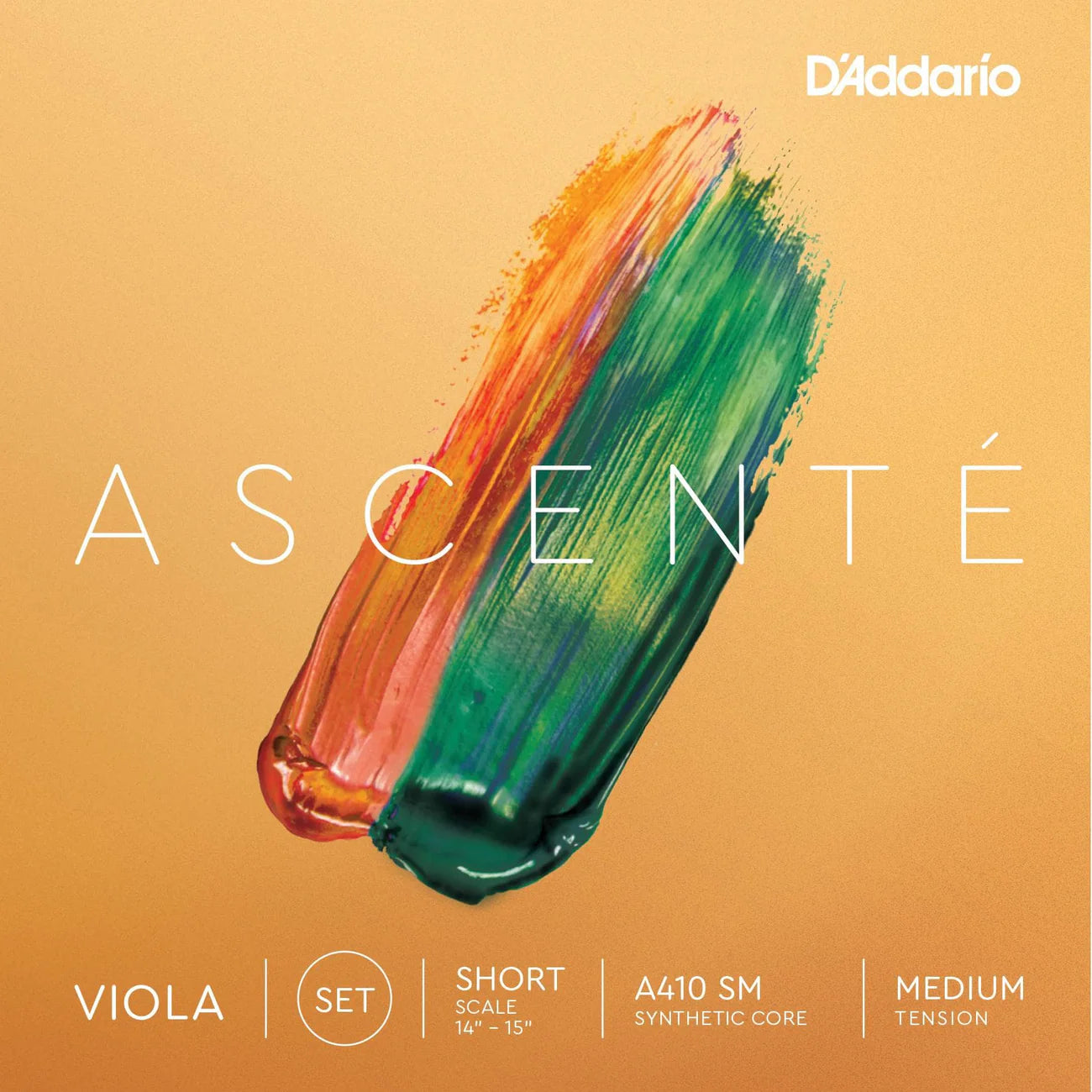 ASCENTE VIOLA SHORT - SET