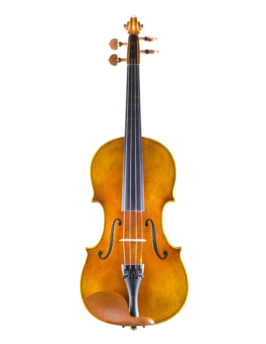 SANDRO LUCIANO SPECIAL EDITION VIOLIN
