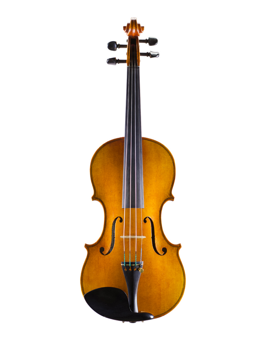 SARA DELIBERATO VIOLIN