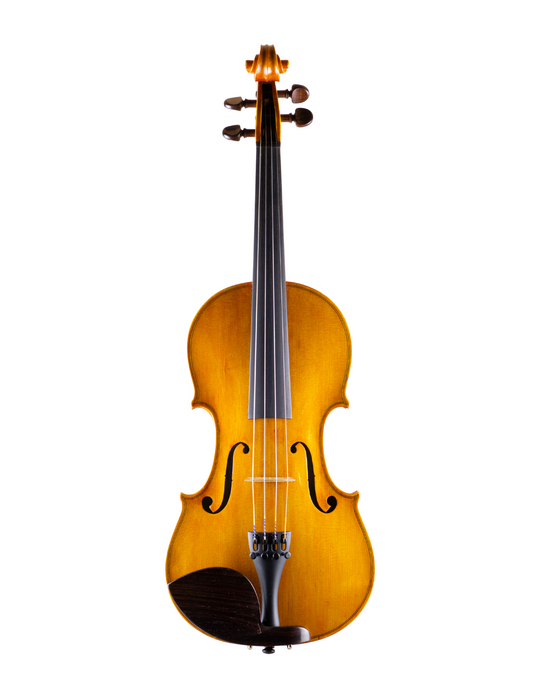 FERNANDO SOLAR GONZALEZ VIOLIN