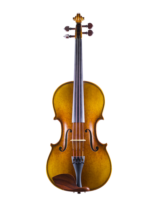 DARIO GIOVANNI 15.5" VIOLA