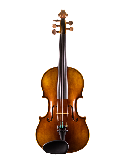 AVANTGARDE VIOLINS 5-STRING VIOLIN