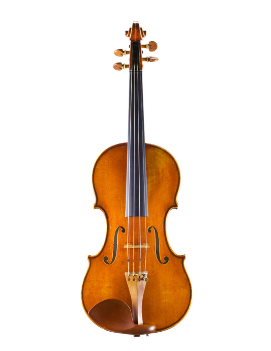 SCOTT TRIBBY VIOLIN