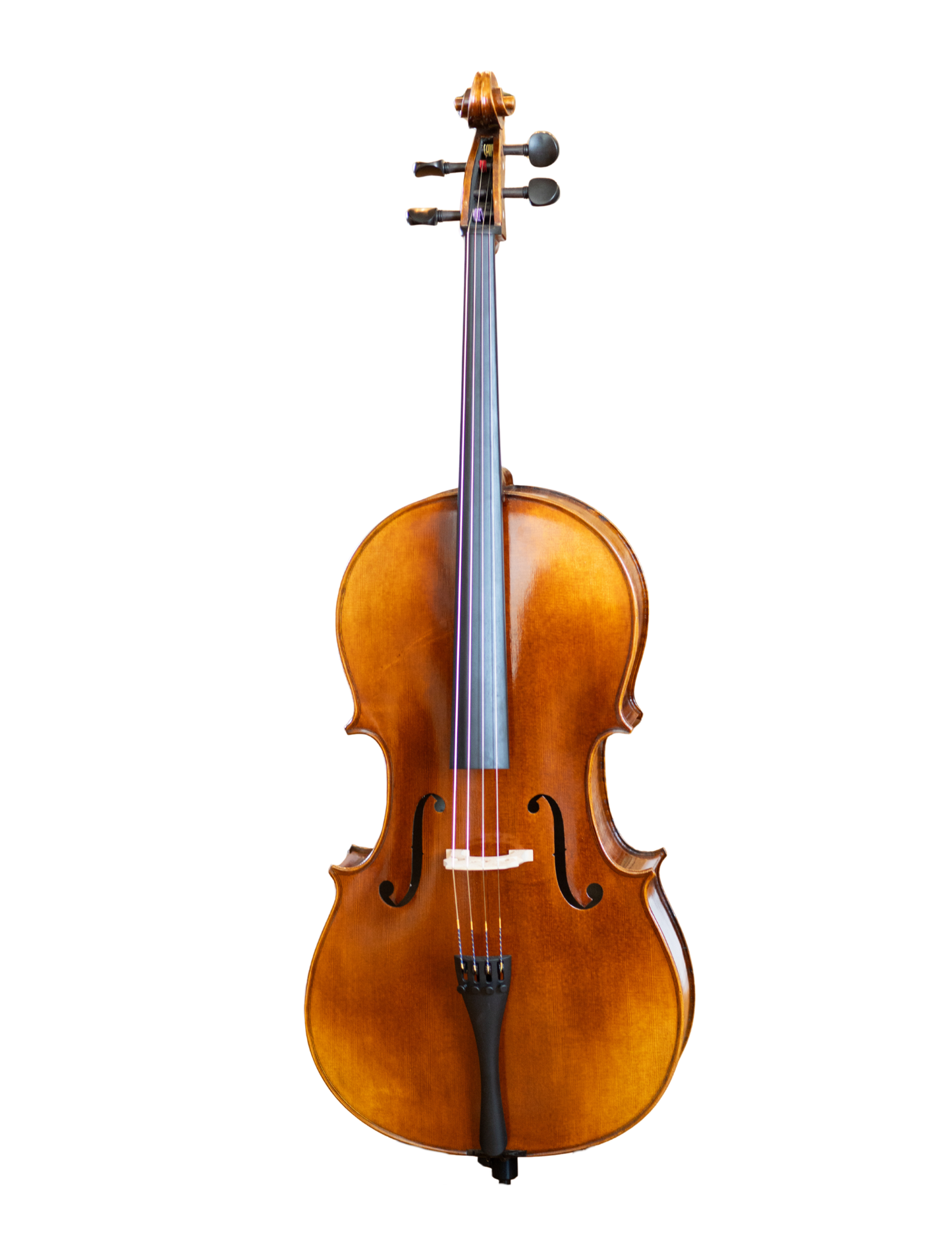 7/8 PAOLO LORENZO CELLO