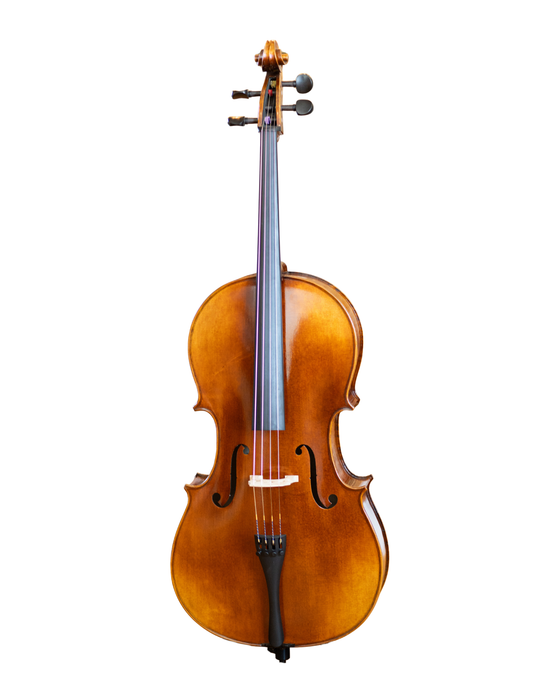 7/8 PAOLO LORENZO CELLO