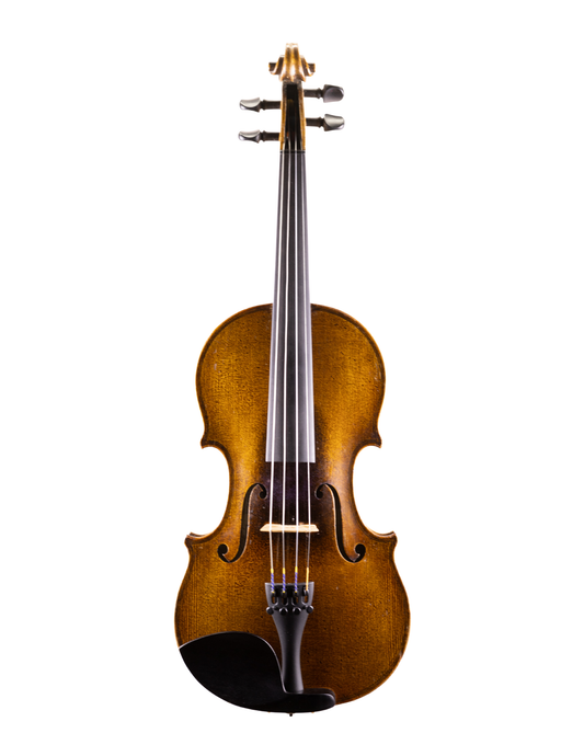 FIRST NATIONAL INSTITUTE OF ALLIED ARTS VIOLIN