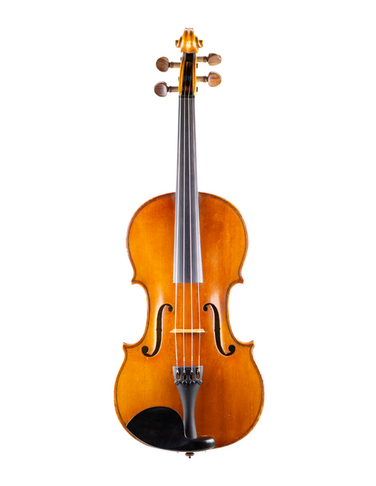 D. NICOLAS VIOLIN