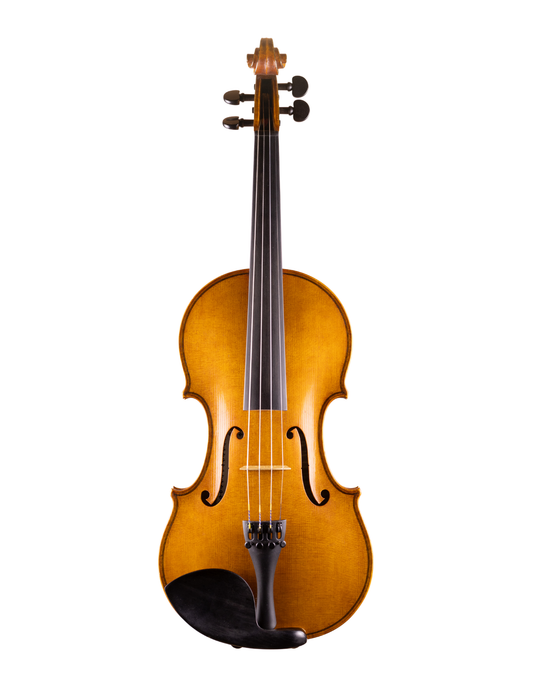 DAVID VAN ZANDT VIOLIN