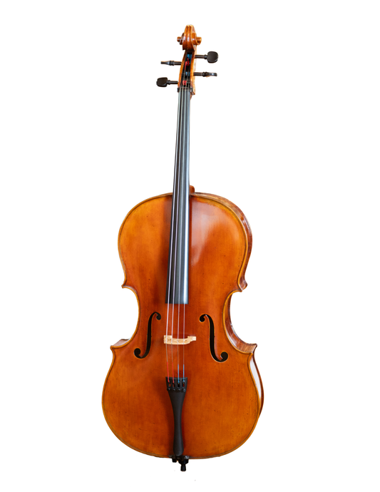 JAY HAIDE EUROWOOD RUGGIERI MODEL CELLO