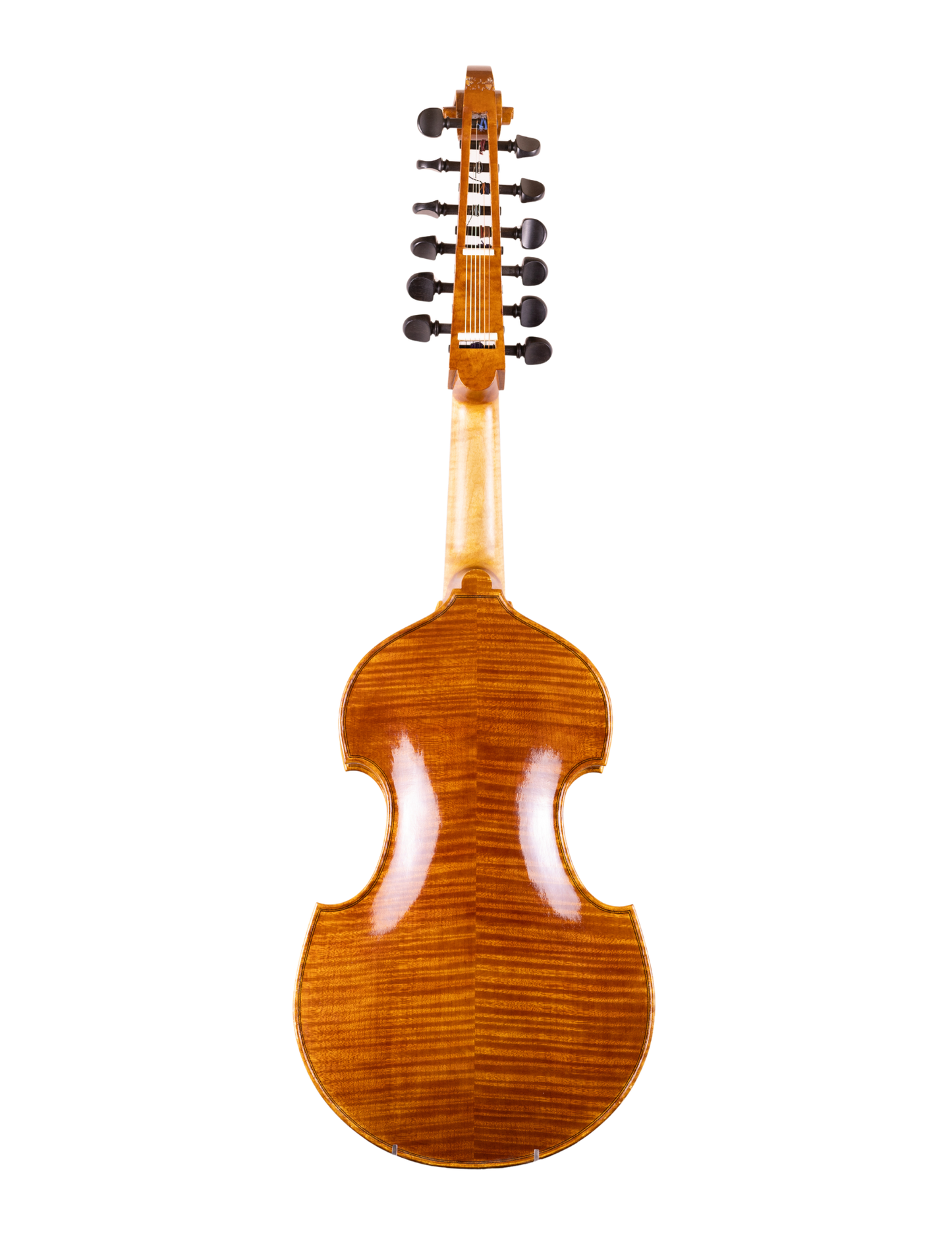 THOMAS COLEMAN - VIOLA D'AMORE