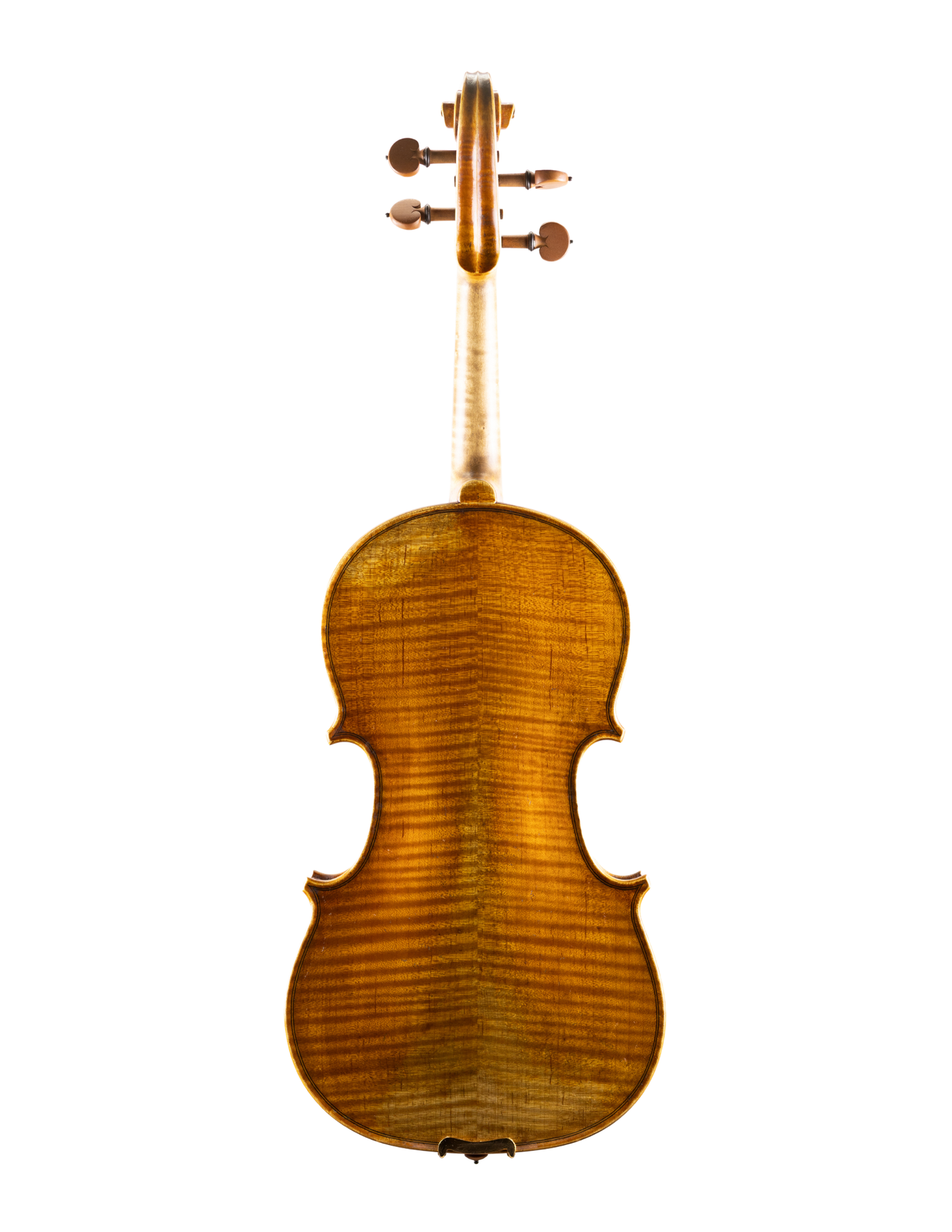 SARA DELIBERATO VIOLIN
