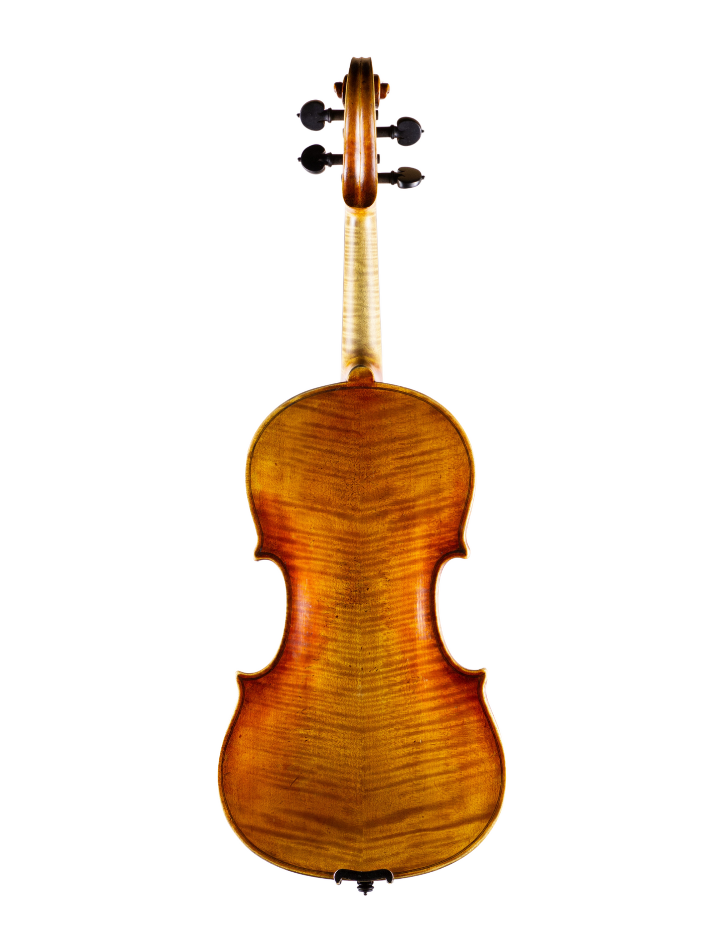 CARLO MICELLI VIOLIN