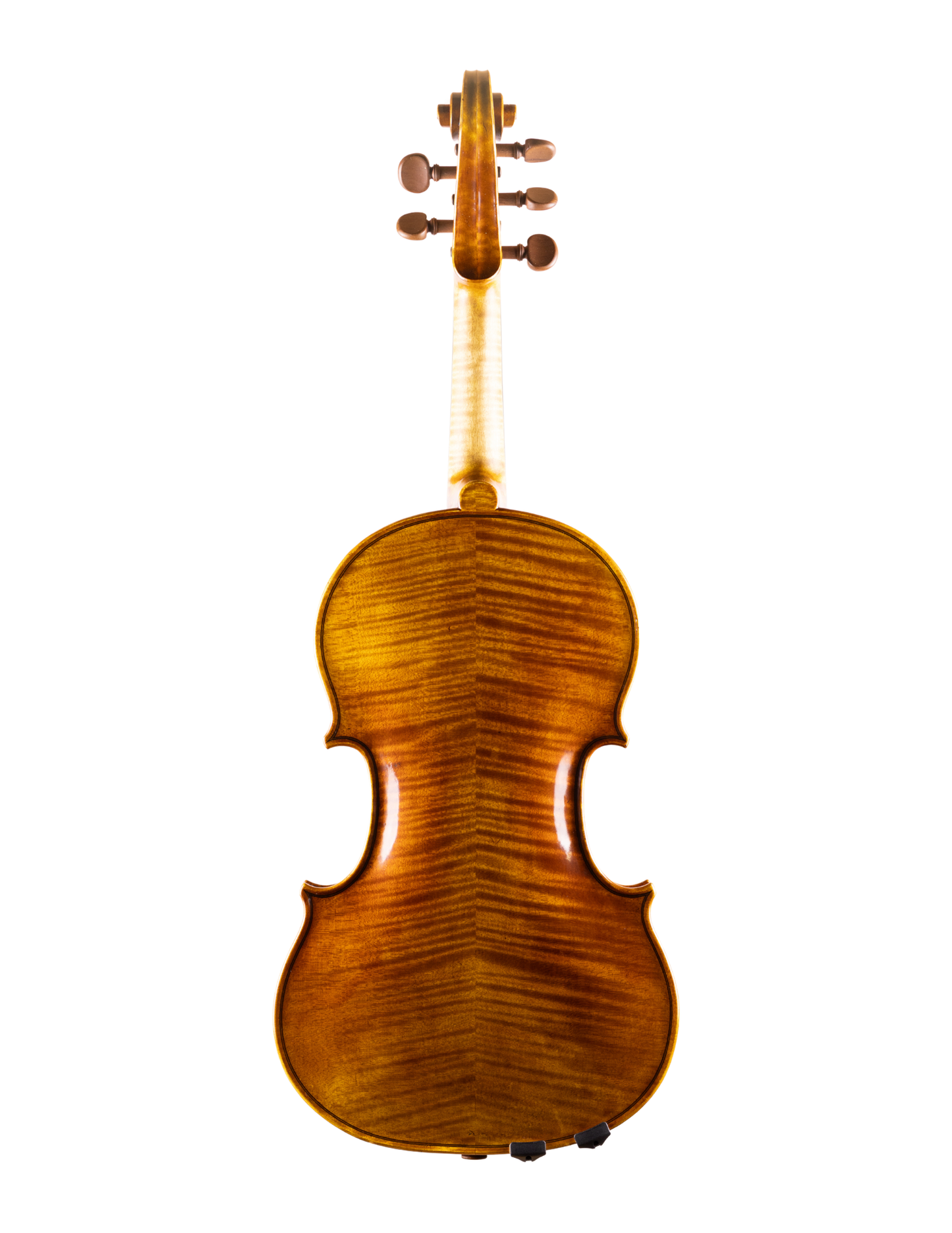 AVANTGARDE VIOLINS 5-STRING VIOLIN