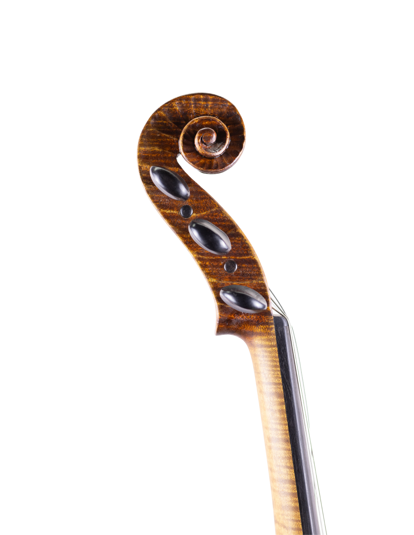 ANDREW CARRUTHERS 5-STRING VIOLIN