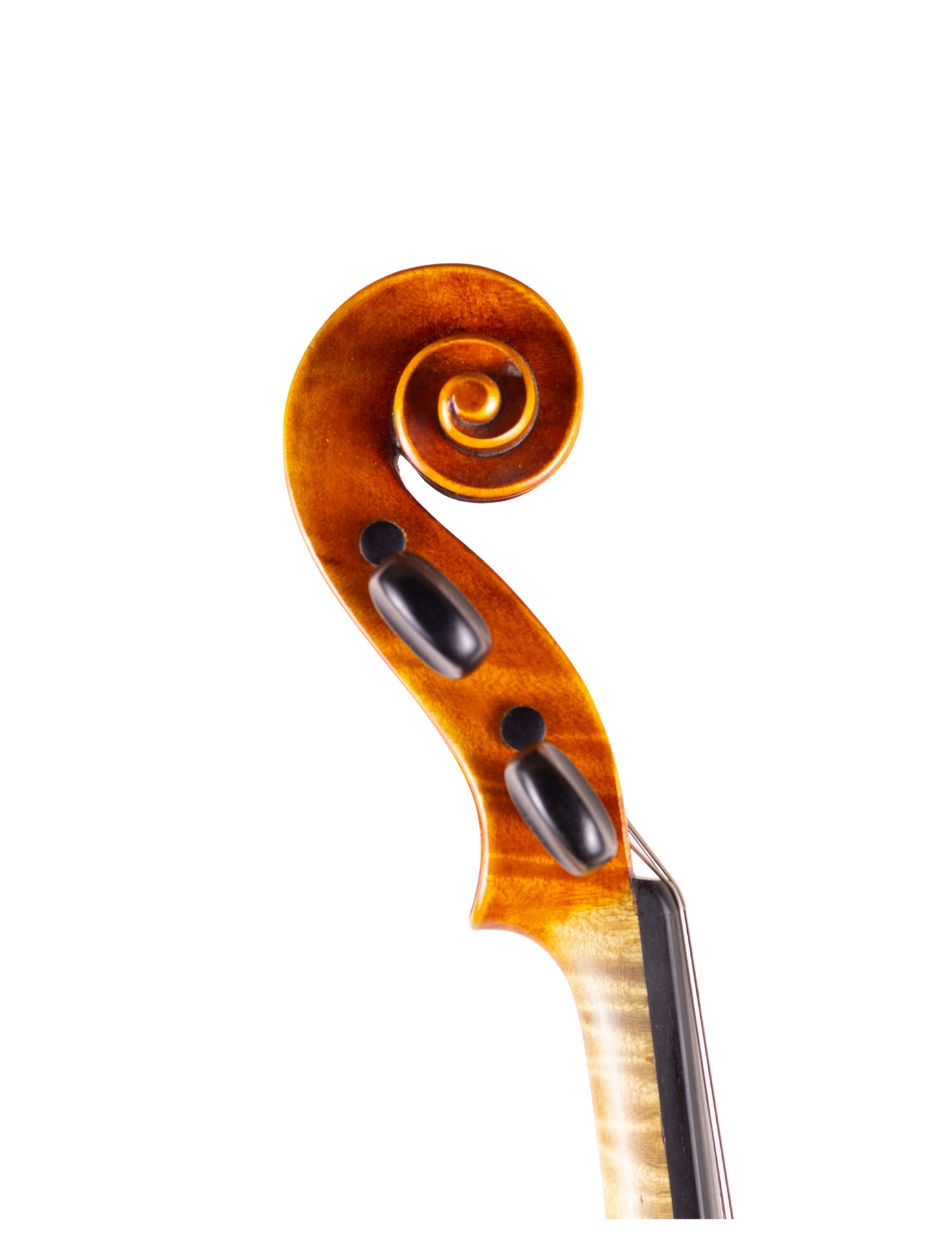 "ALBERT KNORR" LABELED VIOLIN